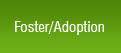 Foster/Adoption